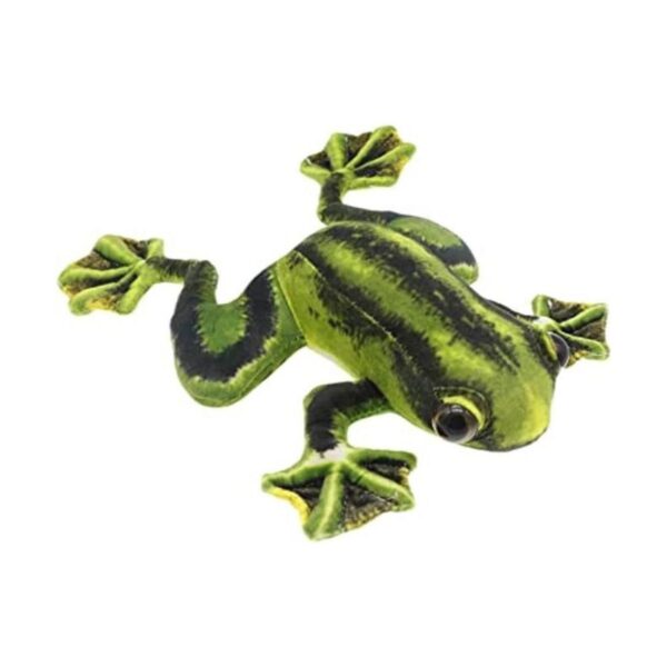 Rana de peluche realista de peluche de rana de peluche de_1