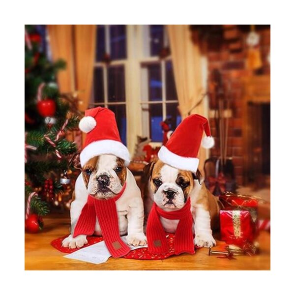 RYPET Perro Santa sombrero y bufanda Navidad perro