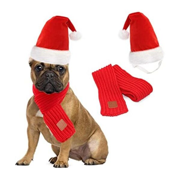 RYPET Perro Santa sombrero y bufanda Navidad perro