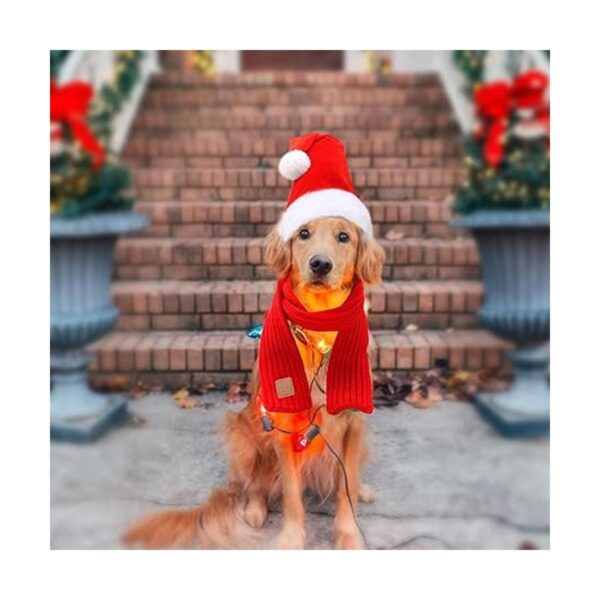 RYPET Perro Santa sombrero y bufanda Navidad perro