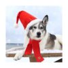 RYPET Perro Santa sombrero y bufanda Navidad perro