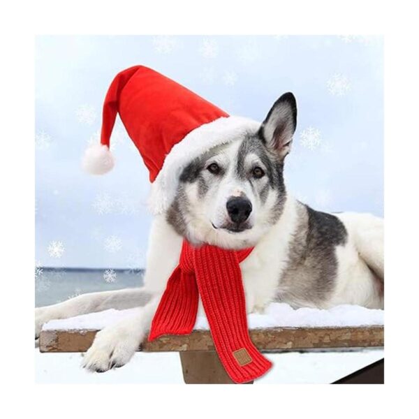RYPET Perro Santa sombrero y bufanda Navidad perro