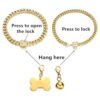 RUMYPET Collar de cadena de oro para perro con cadena de_3