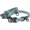 ROAM Collar de perro de nailon de alta resistencia y