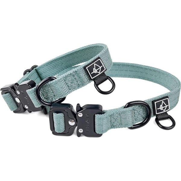 ROAM Collar de perro de nailon de alta resistencia y