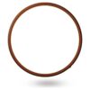 RICOH GN2 BZ Bronce Modelos compatibles GR IIIx_1