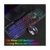 RGB Gaming Keyboard and Colorful Mouse ComboUSB Wired LED