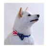REVEDA Juego de pajaritas para perros y gatos desmontable_5