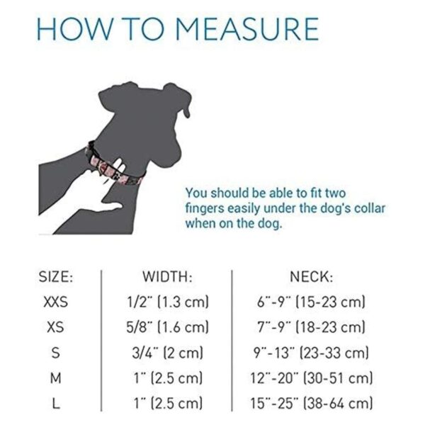RC Pets Collar ajustable con clip para perro_2