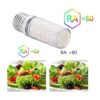 RAYHOO Bombillas LED incandescentes equivalente a 80100_3