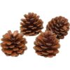 QHZHANG Christmas Bulk Package of Natural Pinecones for