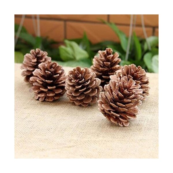 QHZHANG Christmas Bulk Package of Natural Pinecones for