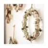QHZHANG Christmas Bulk Package of Natural Pinecones for