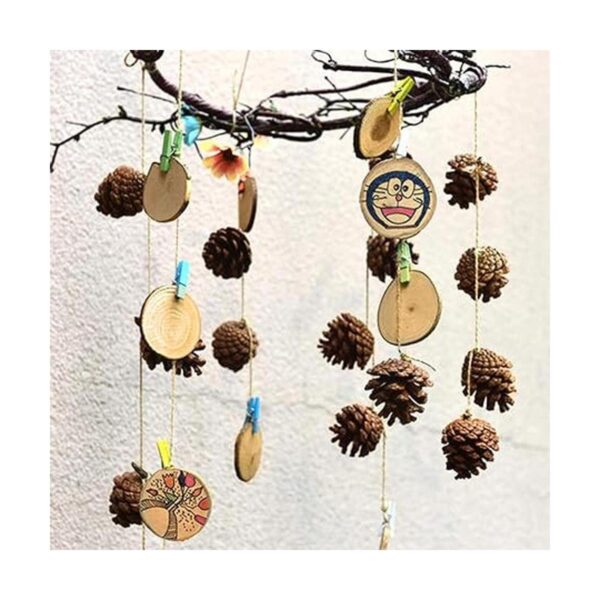 QHZHANG Christmas Bulk Package of Natural Pinecones for