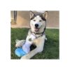 Puppy Chiefer Juguetes divertidos para perros Juguete