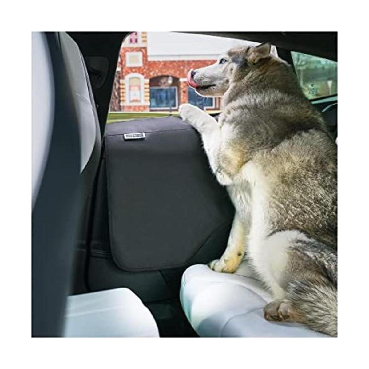 Protector de puerta de coche Juego de 2 unidades para