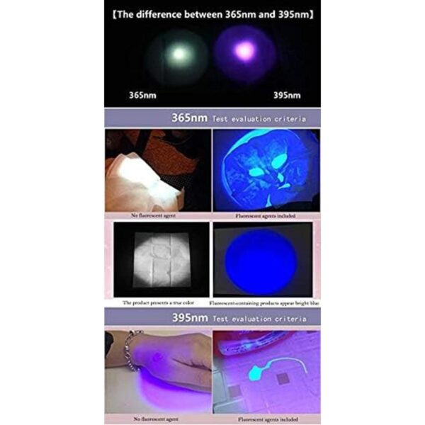 Proforus Linternas ultravioleta recargables linterna_2
