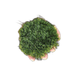 Prefleur Cojín de musgo preservado de poste verde natural_1
