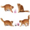 Portown dispensador de bolas de alimentos para gatos