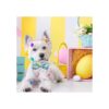 Pohshido 2 Pack de collar de gato de Pascua con pajarita
