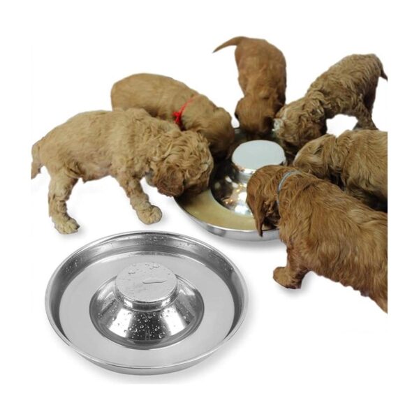 Podinor Stainless Steel Puppy Dog Bowls Pets Puppies