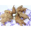 Podinor Stainless Steel Puppy Dog Bowls Pets Puppies
