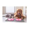 Podinor Cuencos de acero inoxidable para perros alimentos