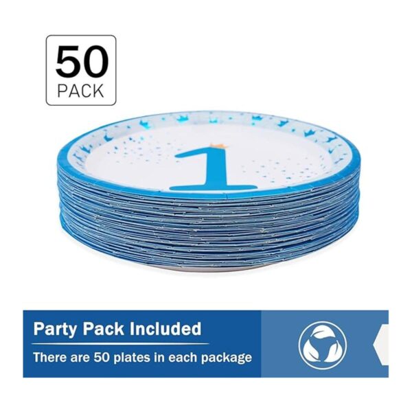 Platos para fiesta de cumpleaños de 1st Happy Birthday 9