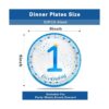 Platos para fiesta de cumpleaños de 1st Happy Birthday 9