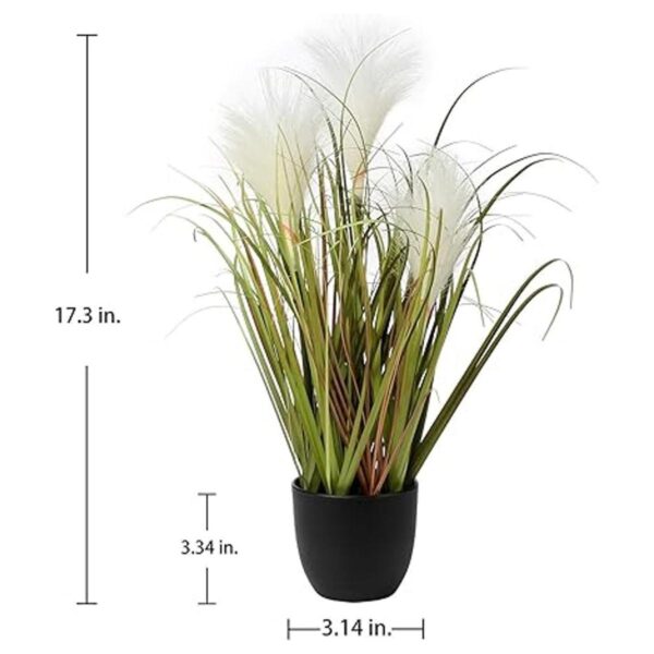 Plantas falsas pequeñas de 17 pulgadas plantas de hierba_2