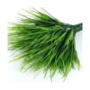 Plantas falsas artificiales de hierba de trigo para_3