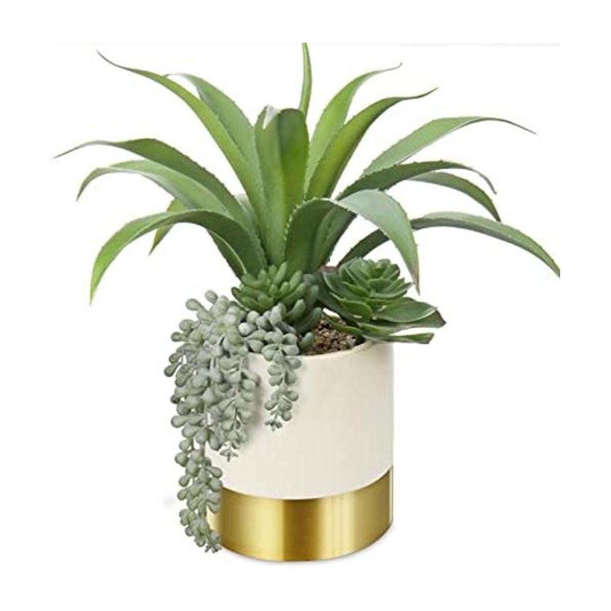 Plantas suculentas artificiales grandes de 12 pulgadas