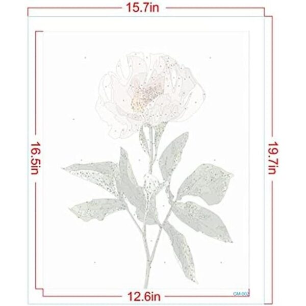 Pintura de color por números para adultos principiantes y