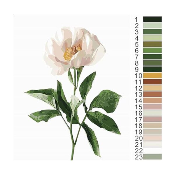Pintura de color por números para adultos principiantes y