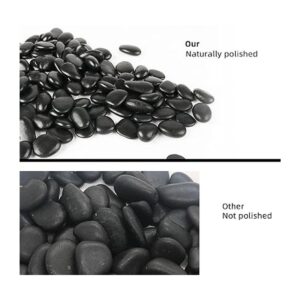 Piedras negras para plantas bolsa a granel de 3 libras_5