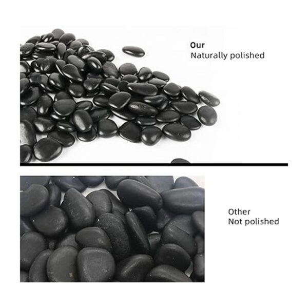Piedras negras para plantas bolsa a granel de 3 libras_5