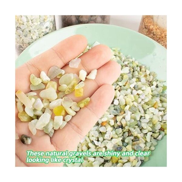 Piedras de jade para plantas 15 pulgadas 3 libras_2