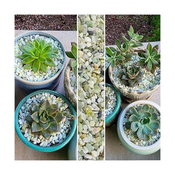 Piedras de jade para plantas 15 pulgadas 3 libras_4