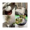 Piedras decorativas blancas de 18 libras para acuario