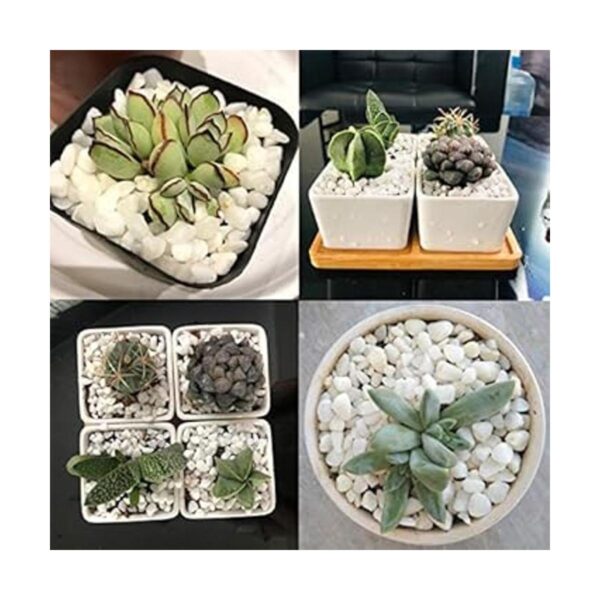 Piedras decorativas blancas de 18 libras para acuario