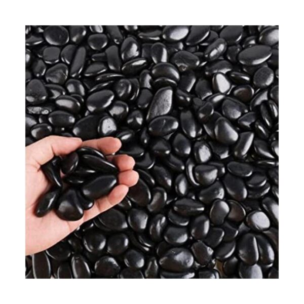 Piedras negras para plantas bolsa a granel de 3 libras_1