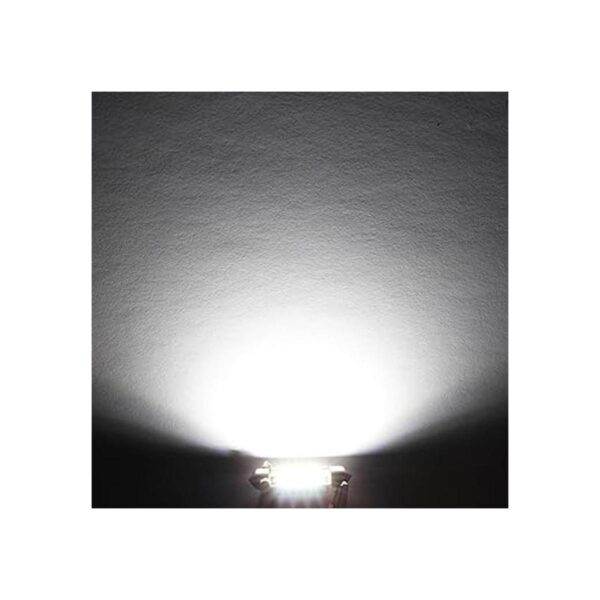 Phinlion Super Bright Bombillas LED Canbus de 500 lúmenes_2