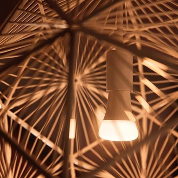 Philips Hue Bombilla inteligente blanca base mediana A19_5