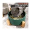 Petygooing Ceramic Dog Cat Bowl Dish with Stand for Food_6