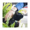 Pettsie Collar de gato Breakaway de seguridad con corazón_5