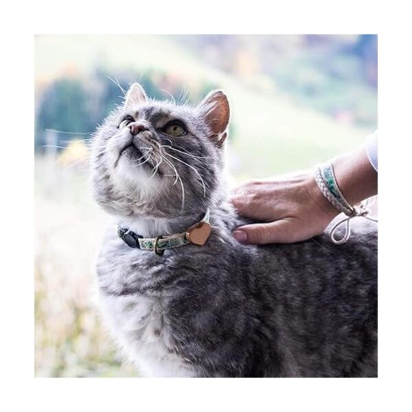 Pettsie Collar de gato Breakaway de seguridad con corazón_6