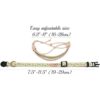 Pettsie Pulsera de amistad con collar de gato caja de_5