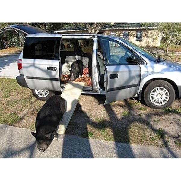 Petstep Rampa plegable auténtica para mascota