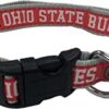 Pets First Ohio State Buckeyes Collar_1