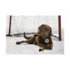 Pets First NHL Juguetes para perros_2